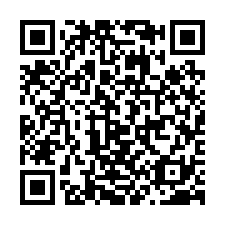 QR code for N63231