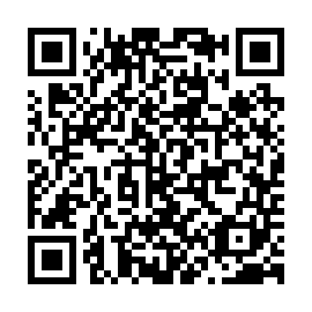 QR code for N63241