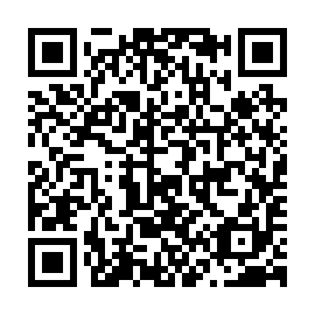 QR code for N63290