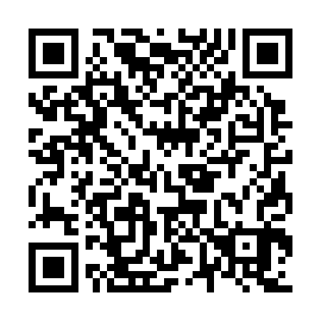 QR code for N63303