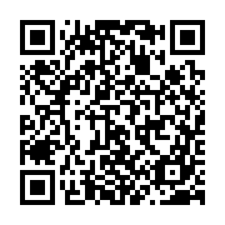 QR code for N63367