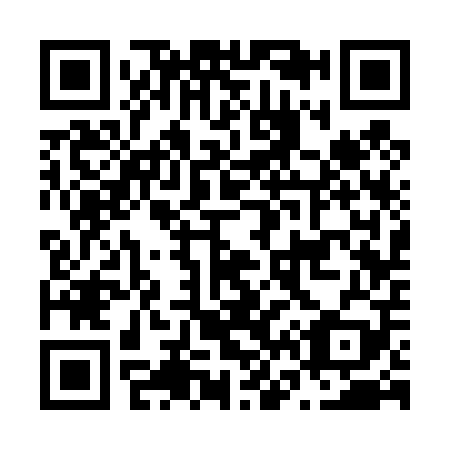QR code for N63409