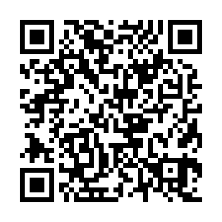 QR code for N63861