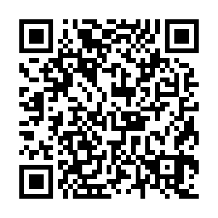 QR code for N63863