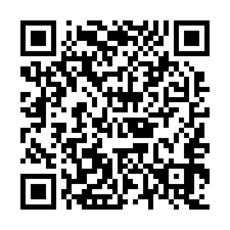 QR code for N64253