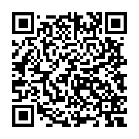 QR code for N64529