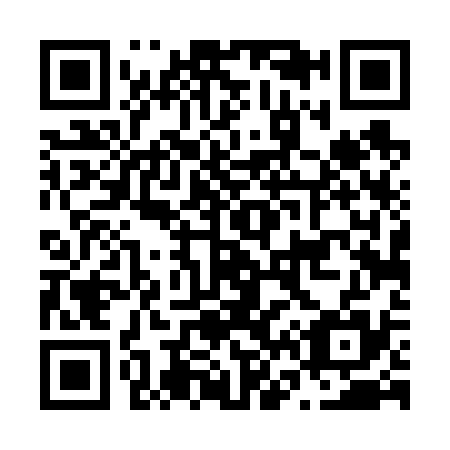 QR code for N64635