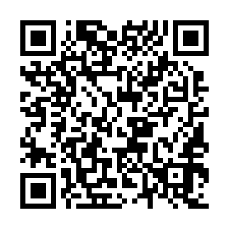 QR code for N65252