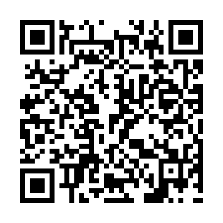 QR code for N65331