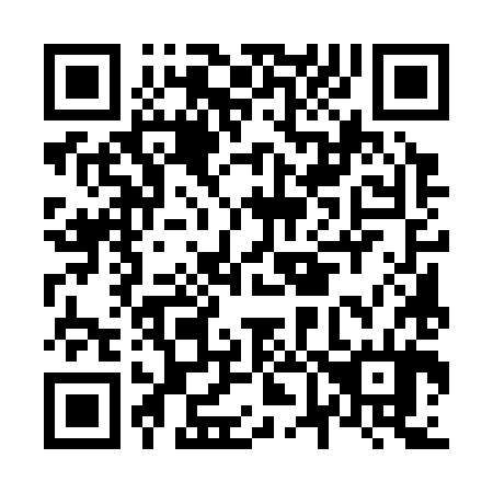 QR code for N65384