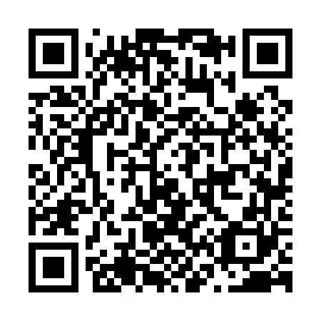 QR code for N66160