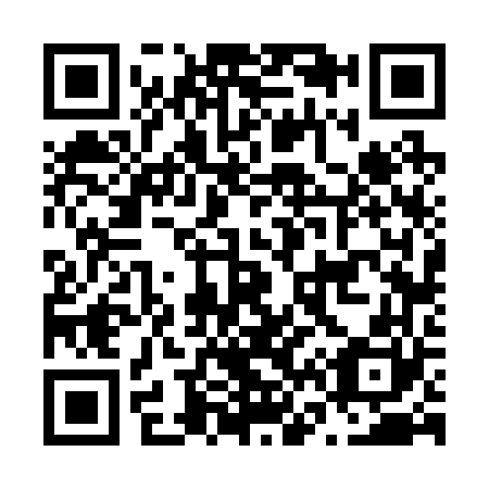 QR code for N66260