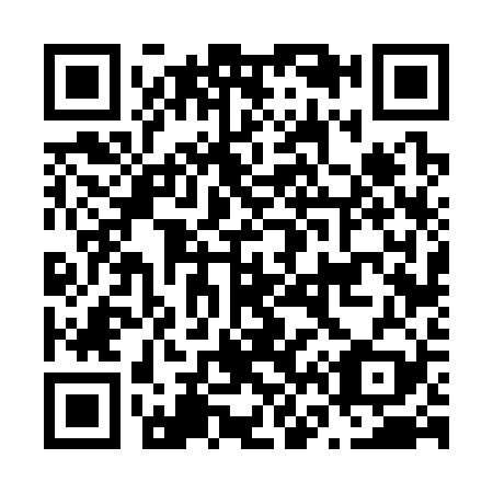 QR code for N66329
