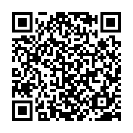 QR code for N66334