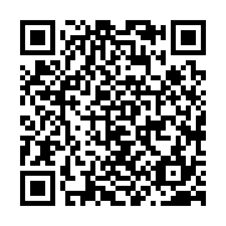 QR code for N68334