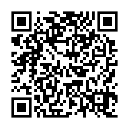 QR code for N68335