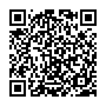 QR code for N69917