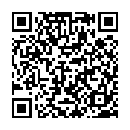 QR code for N73533