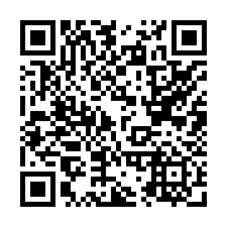 QR code for N73839