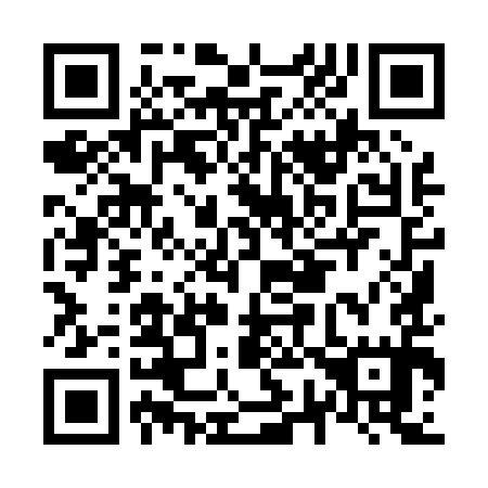 QR code for N79095