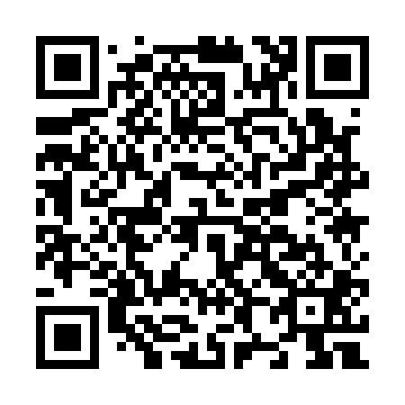 QR code for N81101