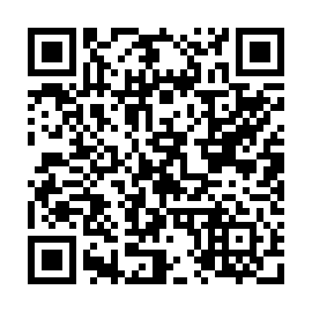 QR code for N81241