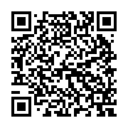QR code for N81296