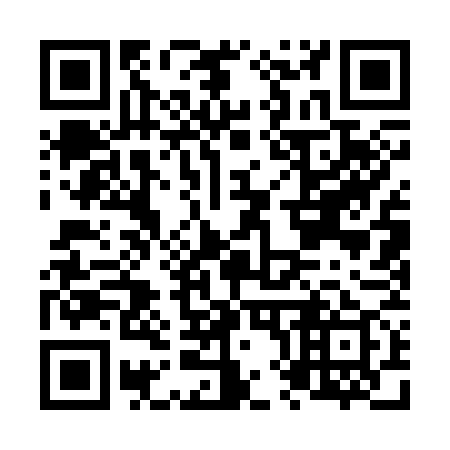 QR code for N81379