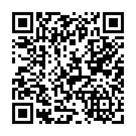 QR code for N81385