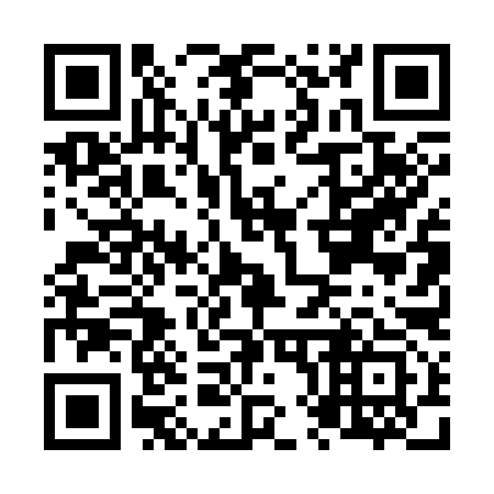 QR code for N84393