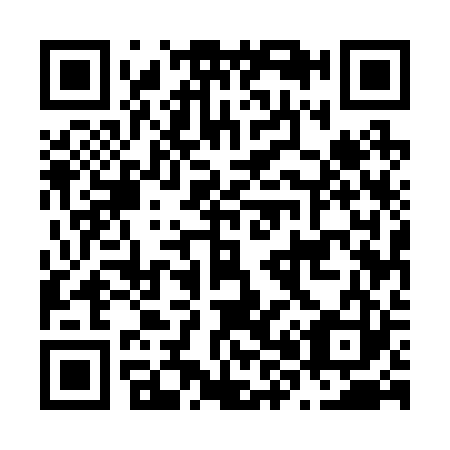 QR code for N85223