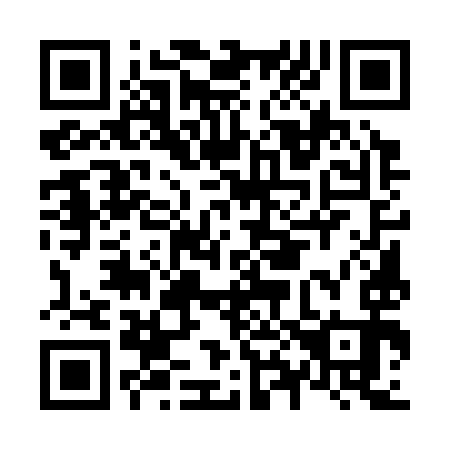 QR code for N85393