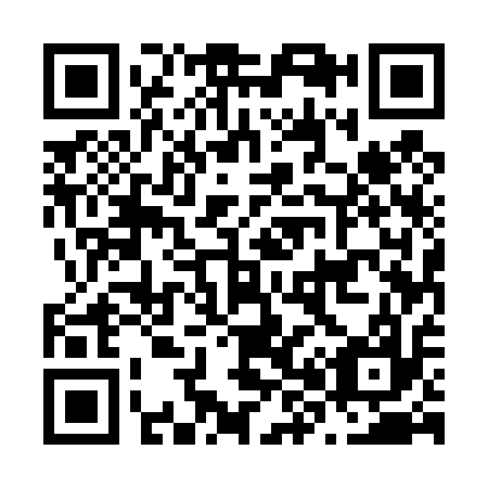 QR code for N85417