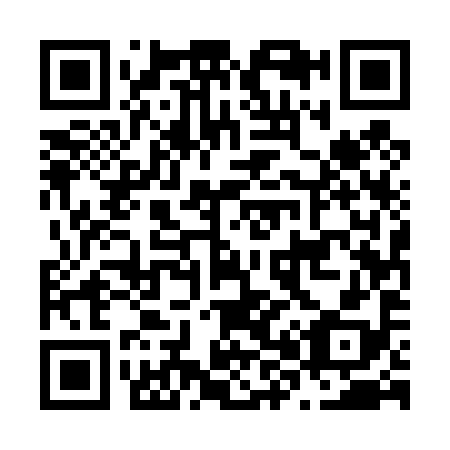 QR code for N85498