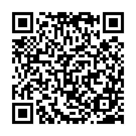 QR code for N85542
