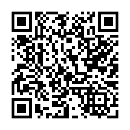 QR code for N86393