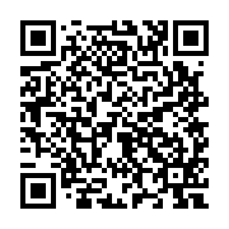 QR code for N87195
