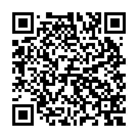 QR code for N87219