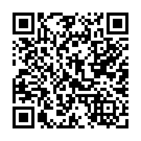 QR code for N87391