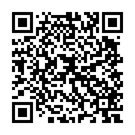 QR code for N87449