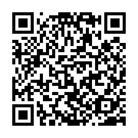 QR code for N87528