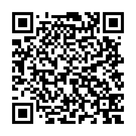QR code for N87539