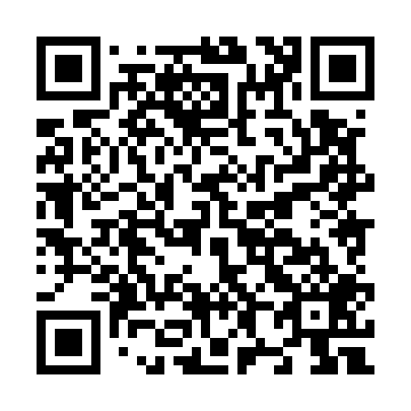 QR code for N88509
