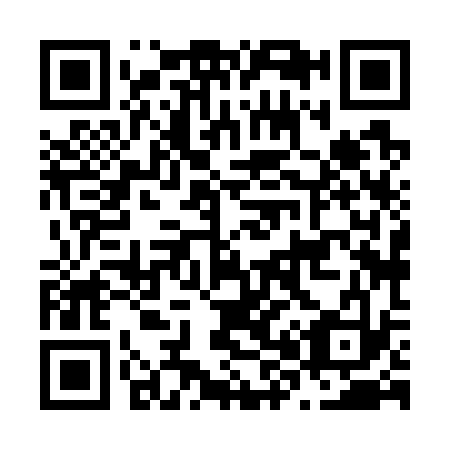 QR code for N88733
