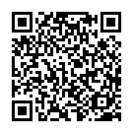QR code for N90161