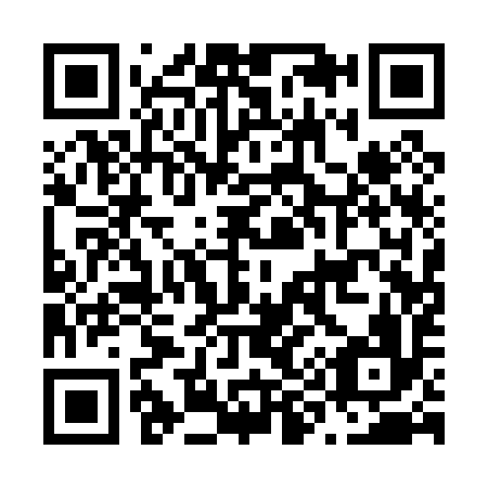 QR code for N91096