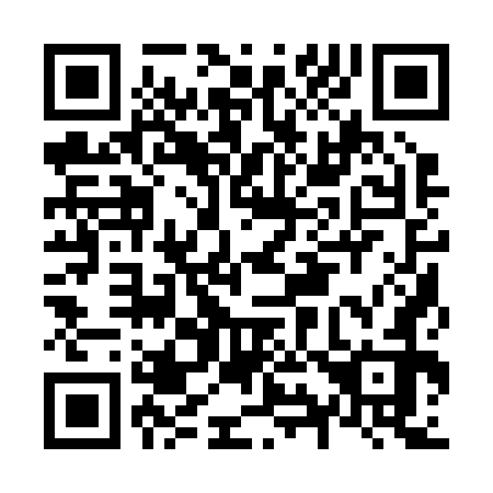 QR code for N91272