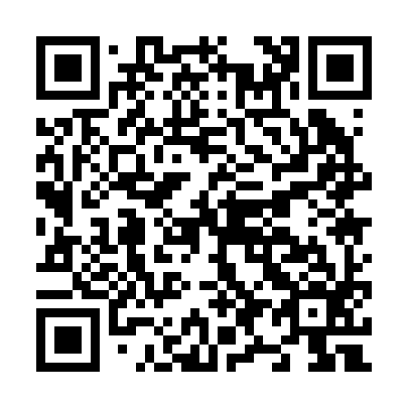 QR code for N91296