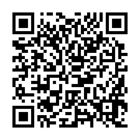 QR code for N91396