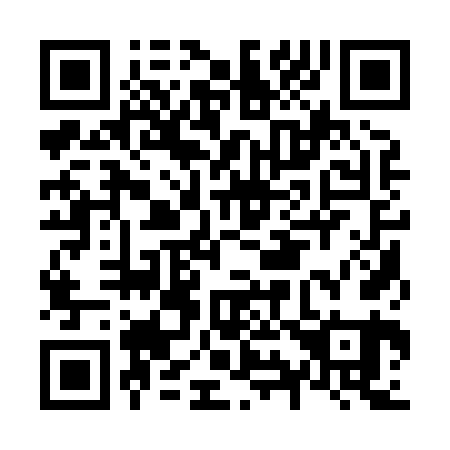 QR code for N91861